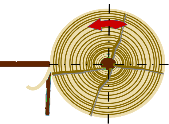 Schema Schälfurnier