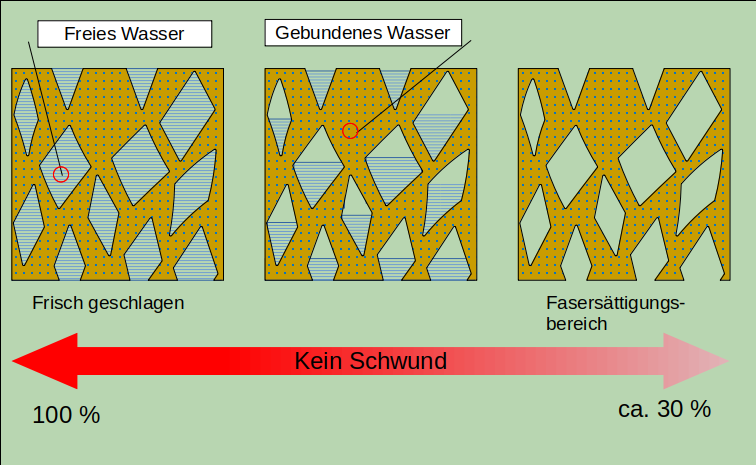 Schema Holztrocknung