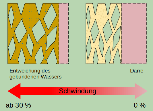 Schema Holztrocknung mit Schwinden